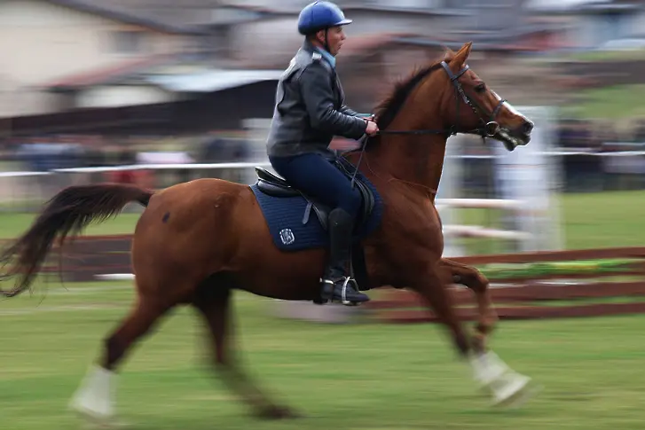 Всички по конете за Тодоровден