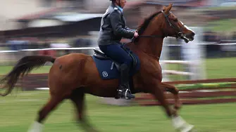 Всички по конете за Тодоровден