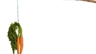 Най-големият плюс на еврофондовете е, че могат да бъдат спирани