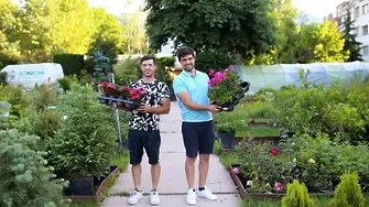 Братя Божилови, които озеленяват всекидневието на хората