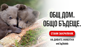 Изгубили сме 69% от популациите на диви животни за по-малко от един човешки живот, сочи докладът на WWF „Жива планета“ 