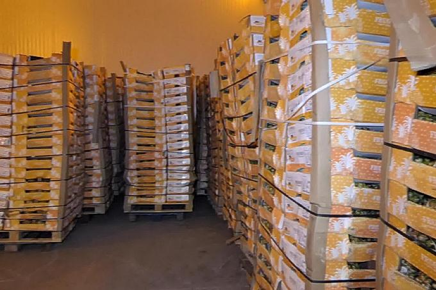 О, чудо: МВР и прокуратурата вече си сътрудничат - с акция срещу наркотиците