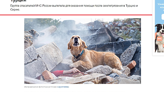 Как чешко куче се превръща в спасител от Русия (50-а ЧАСТ)