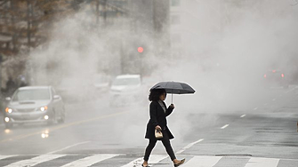 Проф. Рачев: Сбъдва се една моя мечта - цяла седмица ще вали