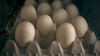 САЩ искат Дания да им прати яйца