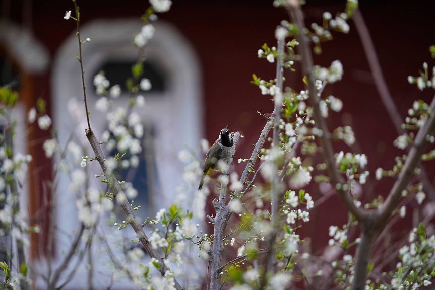 Облачно и с валежи, но топло време през новата седмица
