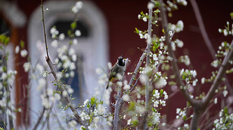 Облачно и с валежи, но топло време през новата седмица