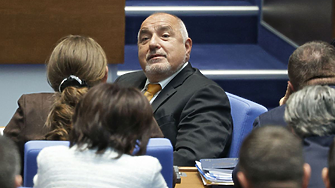 ДЕНЯТ В НЯКОЛКО РЕДА: 