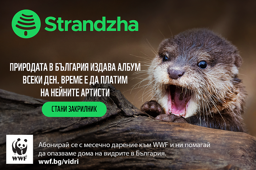 WWF възстановява един от последните запазени притоци на Дунав у нас