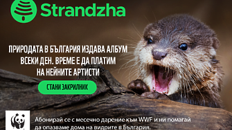 WWF възстановява един от последните запазени притоци на Дунав у нас