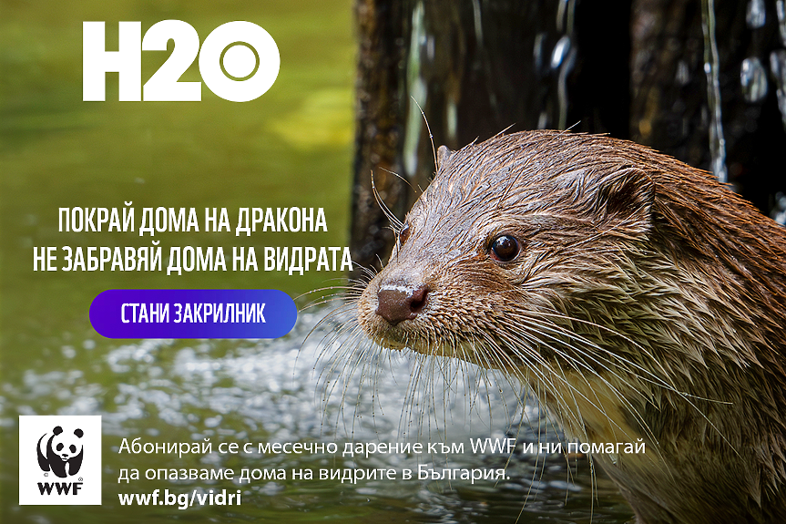 В Деня на реките WWF се заема с опазването на дома на видрата