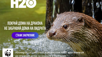 В Деня на реките WWF се заема с опазването на дома на видрата