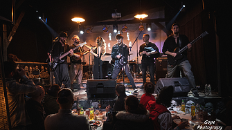 Фолк метъл концерт с... прасе? 