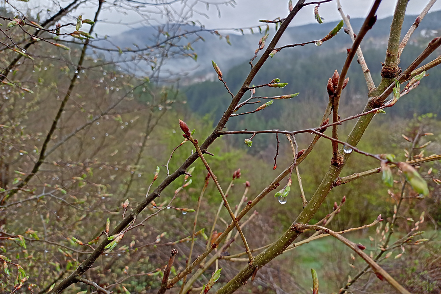 Валежите спират, слънцето се завръща, но температурите остават ниски – до 10°