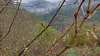 Валежите спират, слънцето се завръща, но температурите остават ниски – до 10°