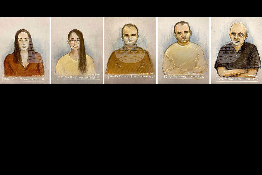 Българка е организирала пропагандна кампания на Русия в Австрия