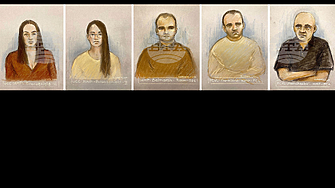 Българка е организирала пропагандна кампания на Русия в Австрия