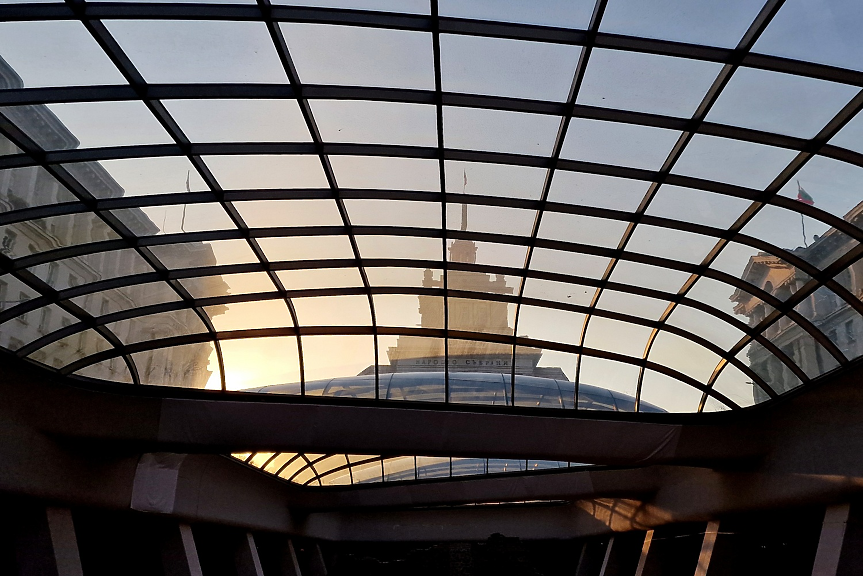 Хищник или мършояд