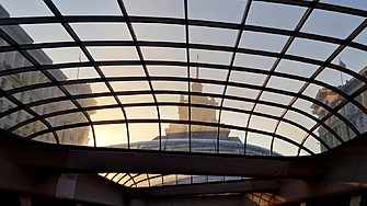 Хищник или мършояд