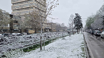 Жълт код за силен вятър, валежи от дъжд и сняг