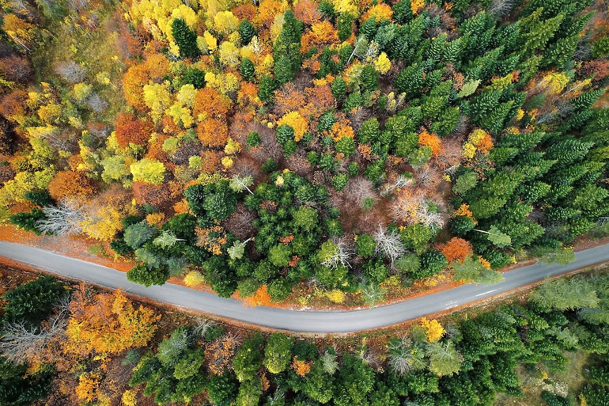 Константин Кирилов показва „България отвисоко“