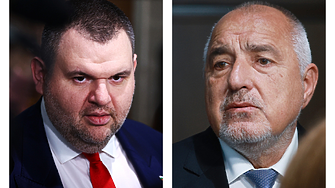 Петьо Еврото възникна при модела 