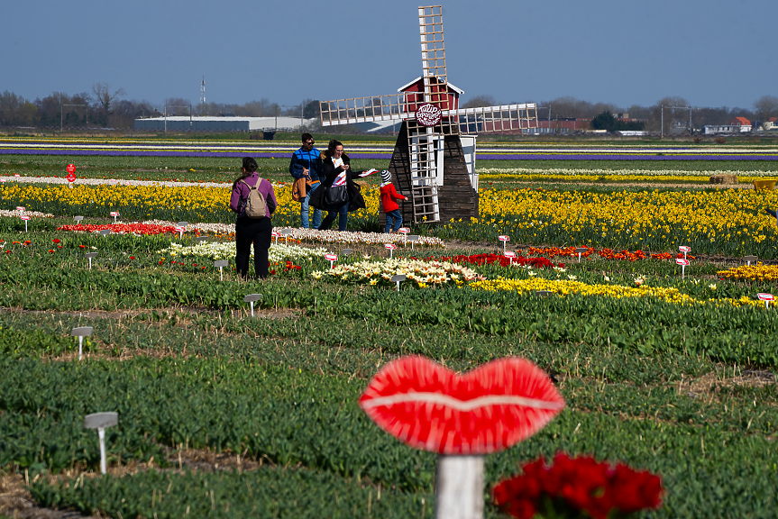 Амстердам отвори най-голямата си туристическа атракция... Не е това, което се помислихте