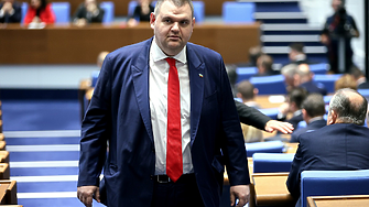 Киселова не допусна депутатски въпрос до премиера за Пеевски