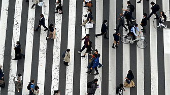 Учени създадоха 