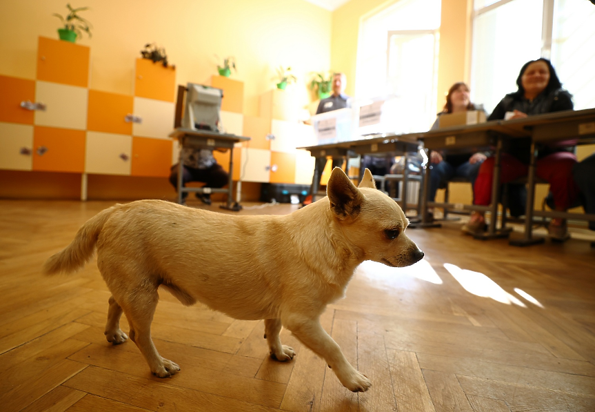 Новите кръпки по стария изборен кодекс