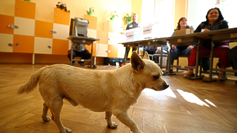 Новите кръпки по стария изборен кодекс