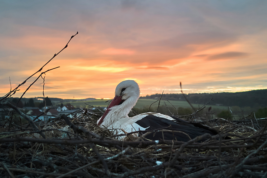 Дъжд и гръмотевици днес, колко ще е топло на 24 април?