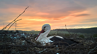 Дъжд и гръмотевици днес, колко ще е топло на 24 април?