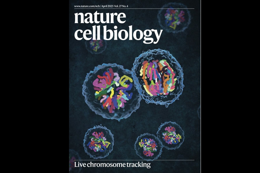 Български учени с впечатляващ пробив в клетъчната биология