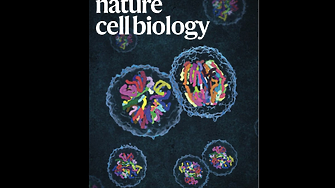 Български учени с впечатляващ пробив в клетъчната биология