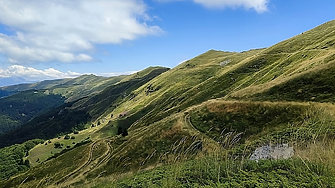 Фестивал в Подгорието събира наука и традиции около зелени баници и сарми от бутима