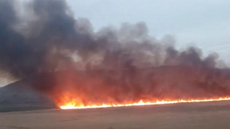 Пожар нанесе сериозни поражения на Алдомировското блато (ВИДЕО)