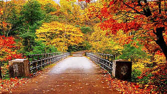 Топло и слънчево време няколко дни