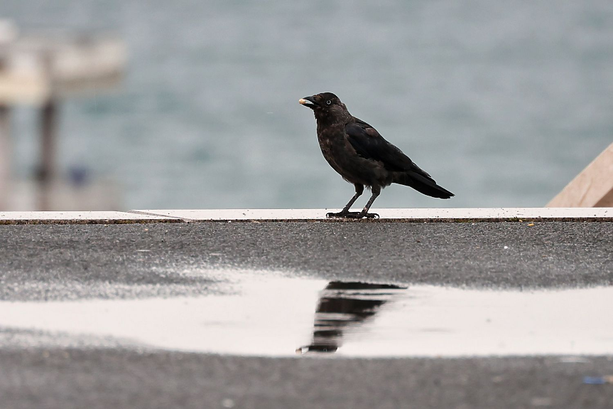 Облачно и дъждовно и в петък, и в почивните дни
