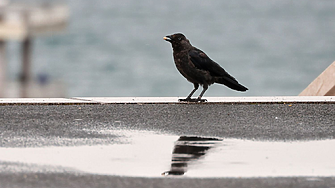 Облачно и дъждовно и в петък, и в почивните дни