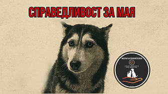 Нека не забравяме. Справедливостта е за хората