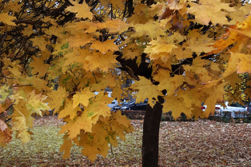 Времето продължава да е слънчево. 23 градуса максимална температура
