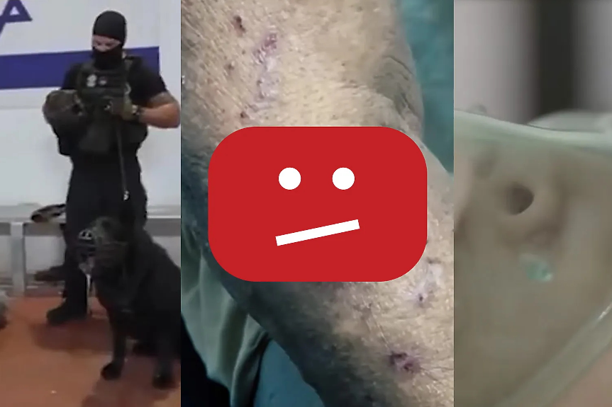Над 700 видеа с доказателства за военни престъпления на Израел са изтрити от YouTube 
