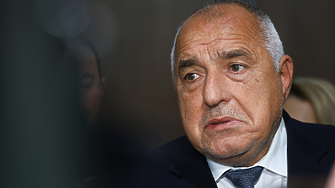 ДЕНЯТ В НЯКОЛКО РЕДА: Бойко крие банкери, Желязков не вижда алтернативи, МВР - нормативи