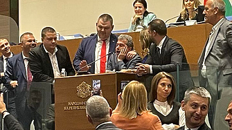 ДЕНЯТ В НЯКОЛКО РЕДА: 