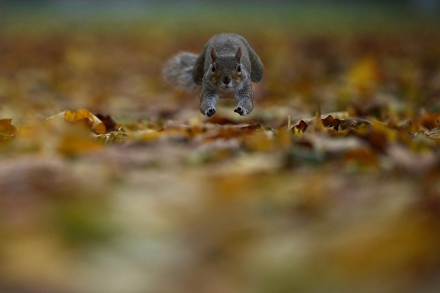 Отклонени и отменени полети от София. Жълт код за валежи и силен вятър