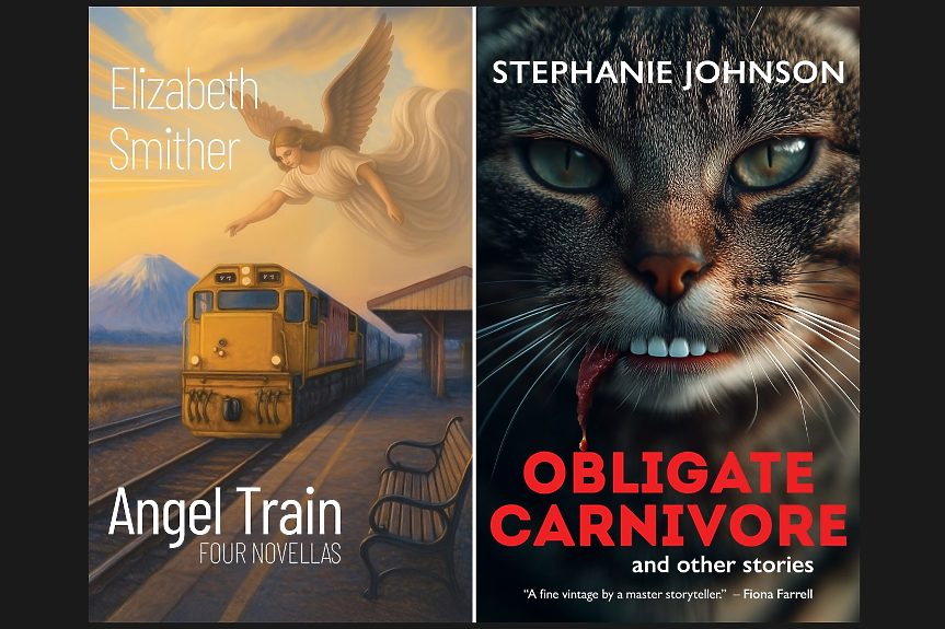 AI на корицата: две книги отпаднаха от най-престижната литературна награда в Нова Зеландия