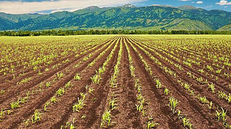 Европрокуратурата разкри измами със земеделски субсидии у нас