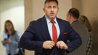 ДЕНЯТ В НЯКОЛКО РЕДА: 