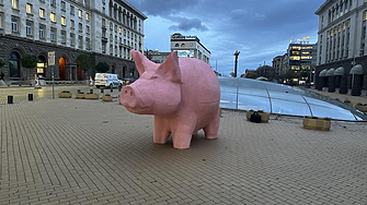 Розово прасе пред Партийния дом. От ДПС на Пеевски се засегнаха - напръскаха го със спрей (ВИДЕО)